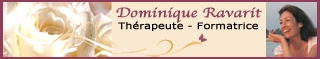 www.dominique-ravarit.fr
